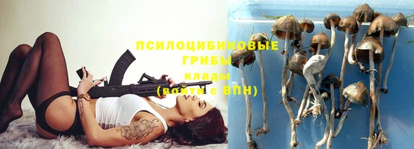2c-b Алзамай