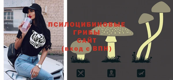 2c-b Алзамай