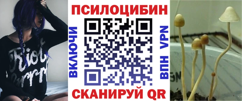 что такое наркотик  Кириши  Галлюциногенные грибы ЛСД 