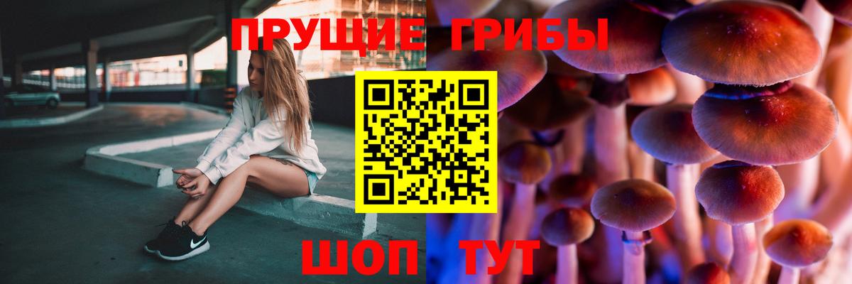 Псилоцибиновые грибы Psilocybe  Вход с VPN  Кириши  Псилоцибиновые грибы ЛСД 